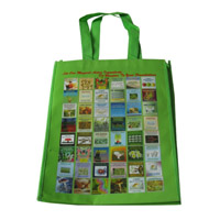 韶关LB11覆膜无纺布广告袋